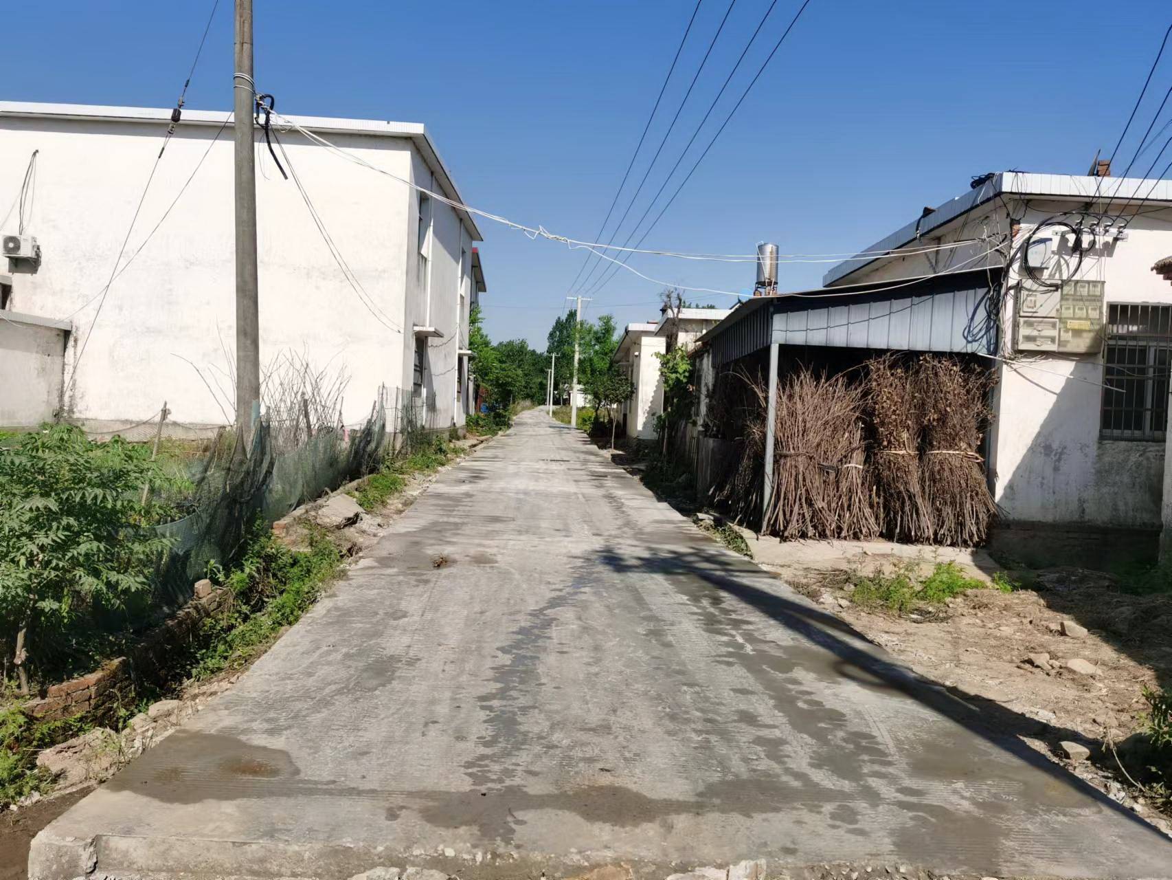 固始迎水寺村便民道路开始动工修建_村民_固始县_胡湾