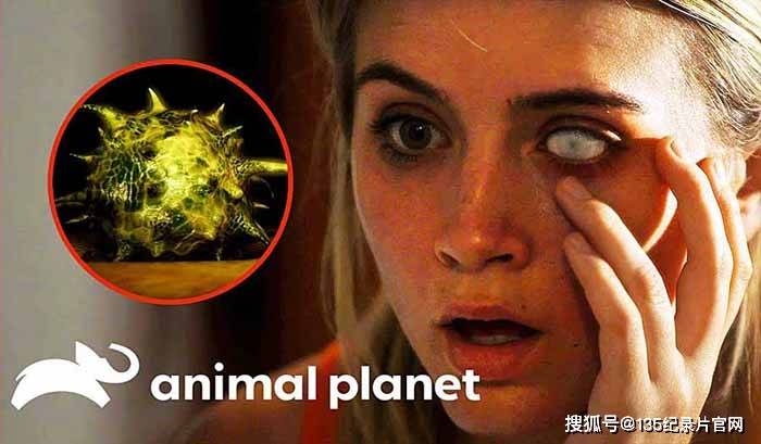 人体微生物研究纪录片体内的怪物第58季高清自媒体解说素材