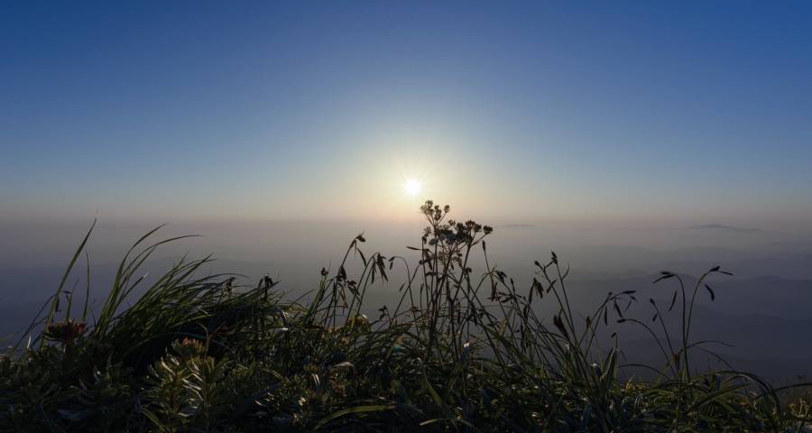 家电企业眼中的价值型渠道标准再生变-家电圈官网