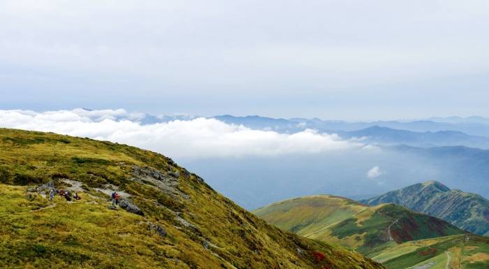 面板产业的周期，如今还取决于电视手机等市场兴衰吗？-家电圈官网