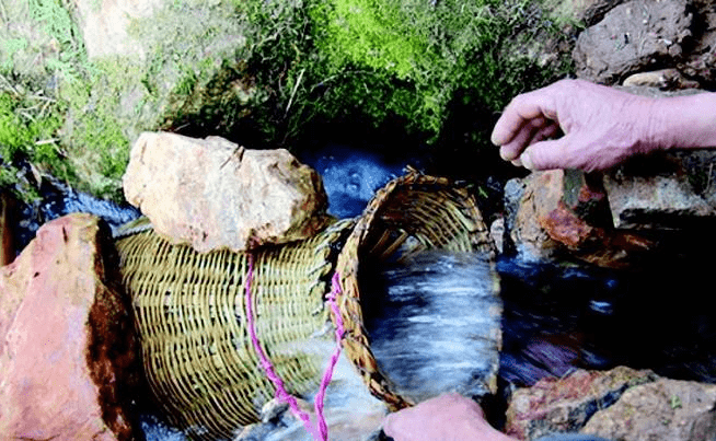 湖北一神秘山洞，每逢清明吐鱼成千上万条无鳞怪鲤鱼，专家：这鱼不能吃