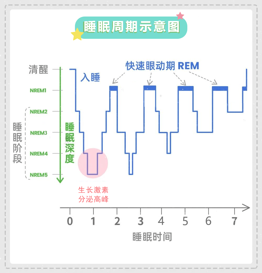 睡眠日图表图片