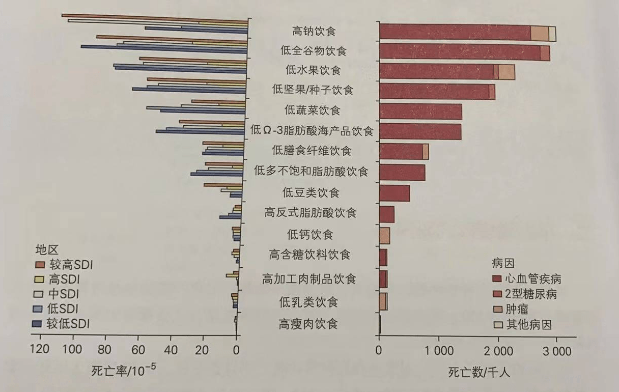 图2 不合理饮食结构对死亡率的贡献平衡/合理膳食模式(由于研究文献中
