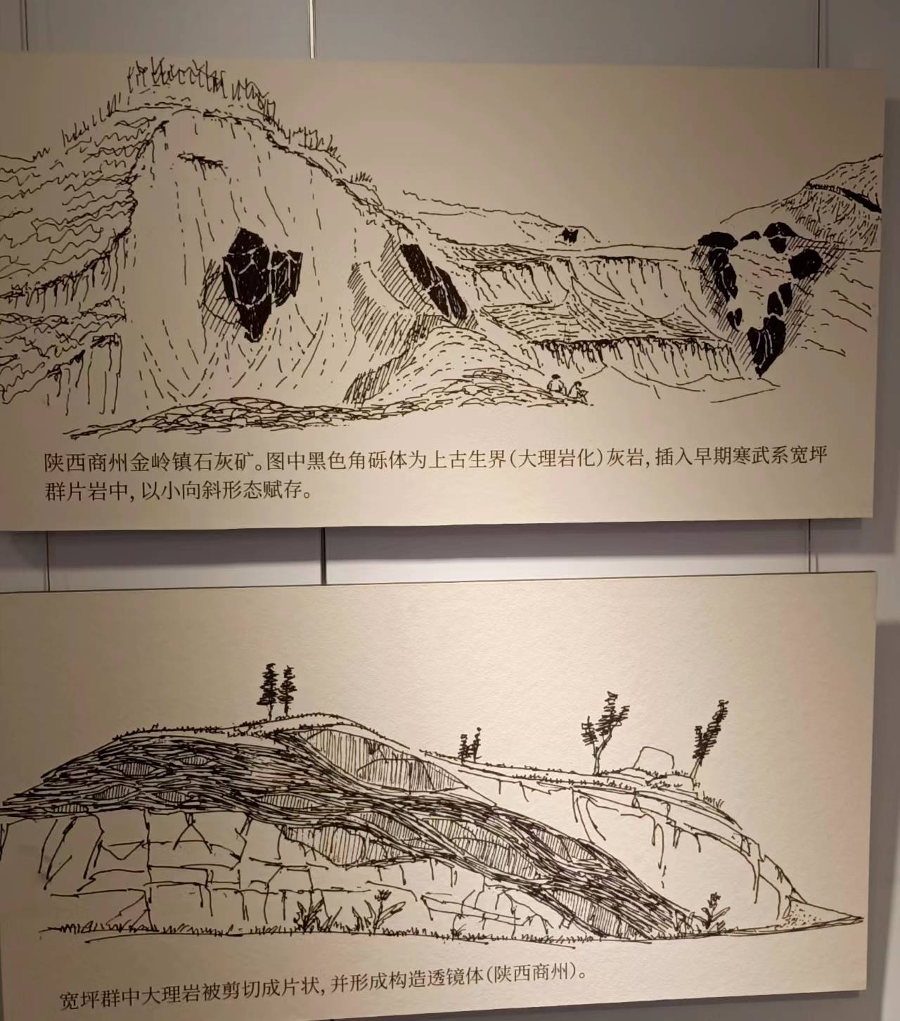 山川筋脉自然神韵徐朝雷地质素描作品展举行