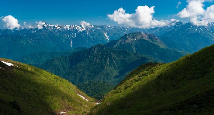 当个个都在低价抢单，今年家电618厂商怎么突围？-家电圈官网