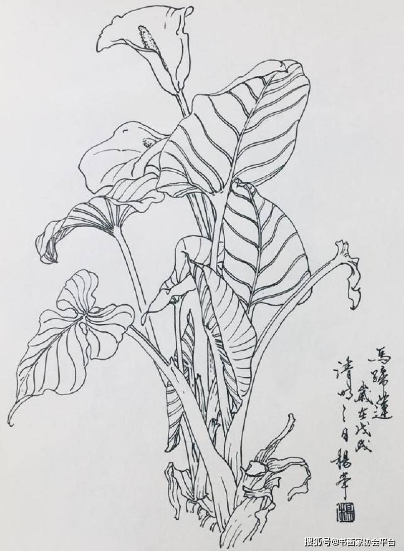 紅樓夢裡,同樣是柳絮,