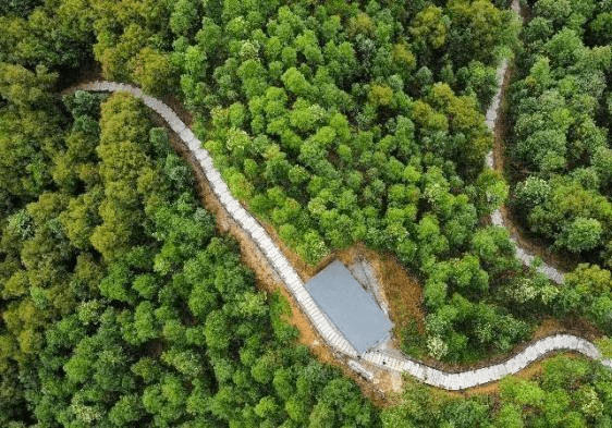 广东20个省级森林生态综合示范园建成开放