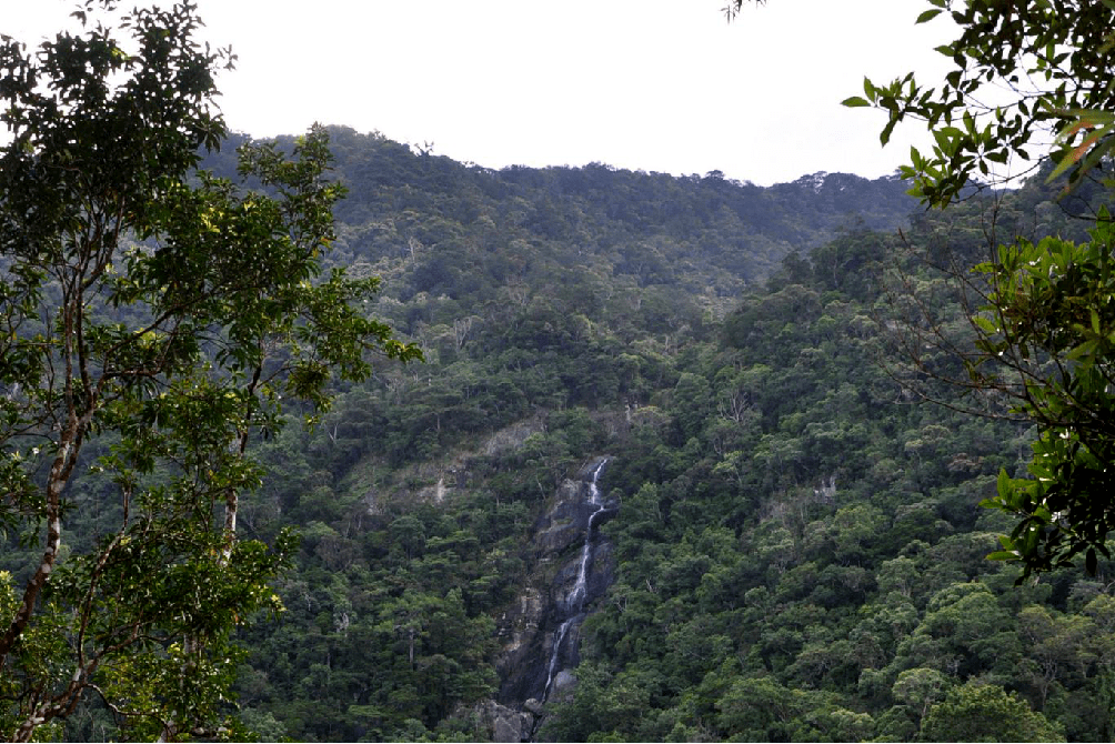 說走就走的旅行