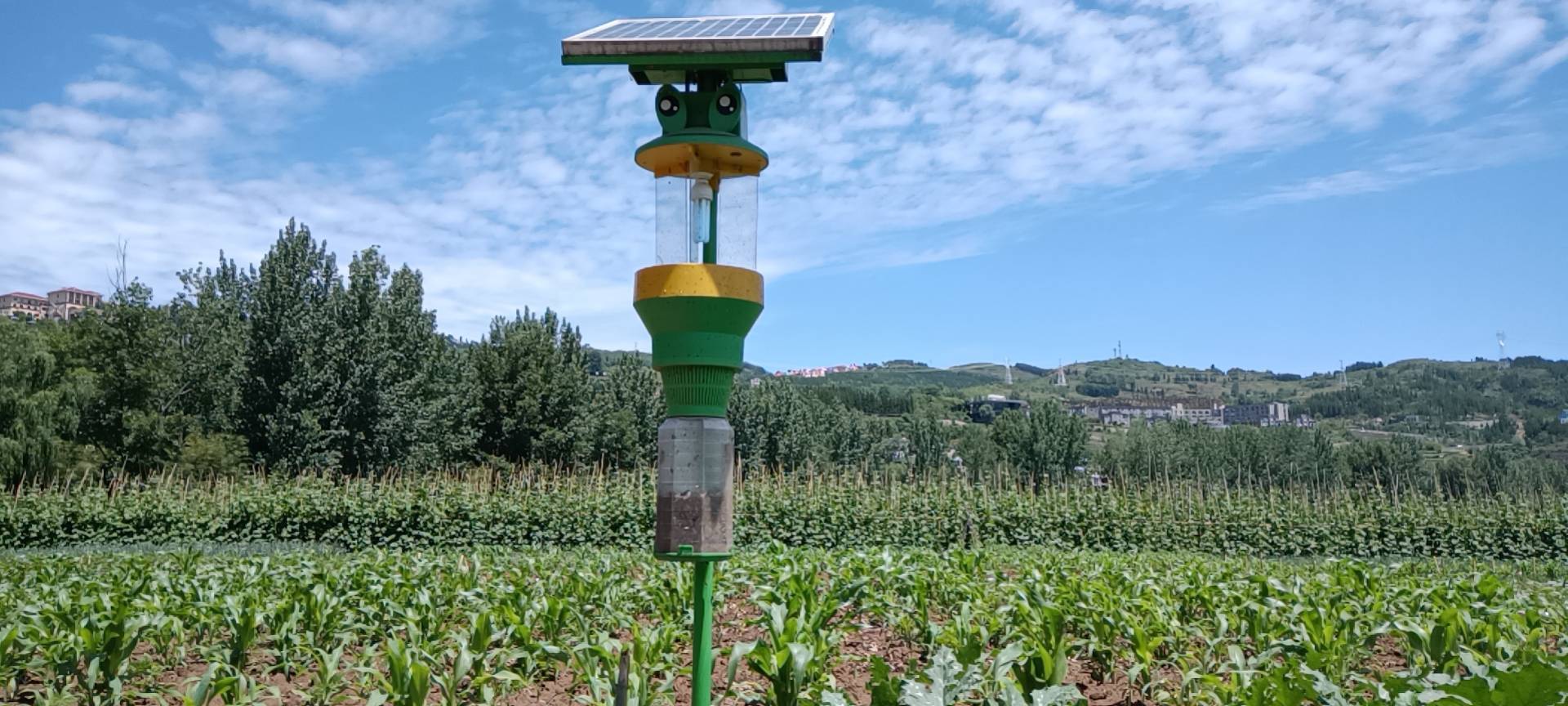 生态农业发展 离不开绿色杀虫 湖南本业绿色太阳能杀虫灯为您助力