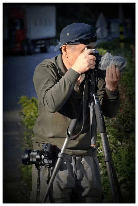 英国皇家摄影学士学位（LRPS）注册摄影师朱青国际摄影大赛获奖作品分享