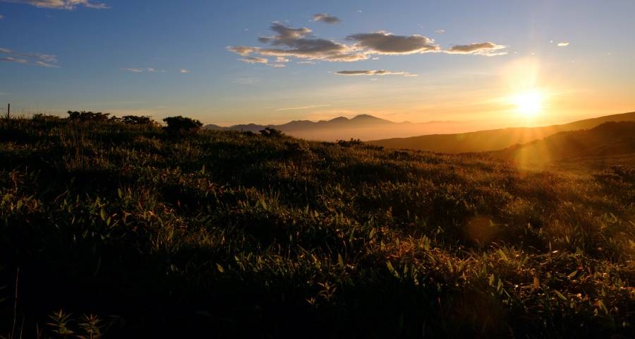 家电新起点：海信TCL长虹美的破局，索尼西门子三星LG夏普冲刺-家电圈官网