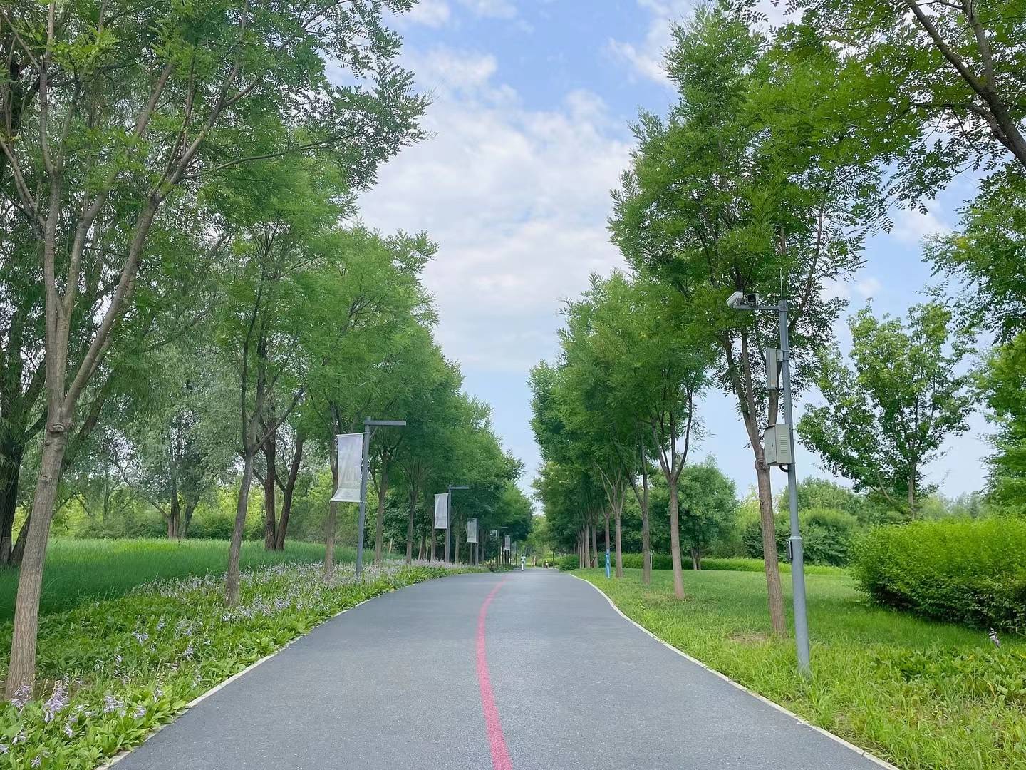 晨跑的图片真实风景图片