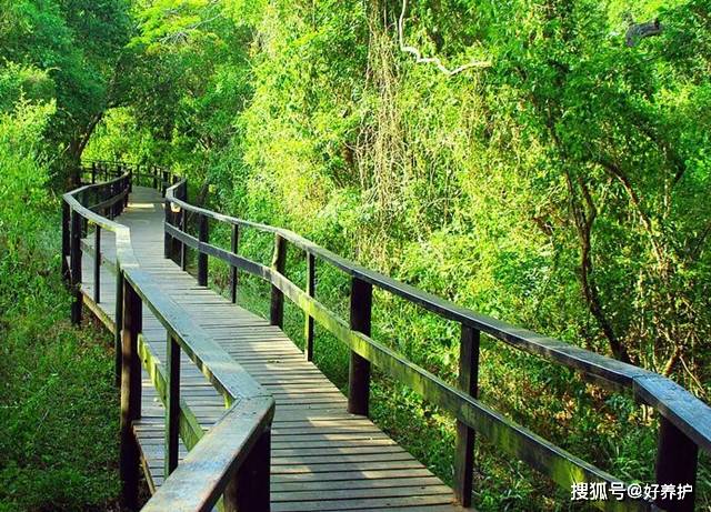 园林景观·桥之美_平桥_水面_作用