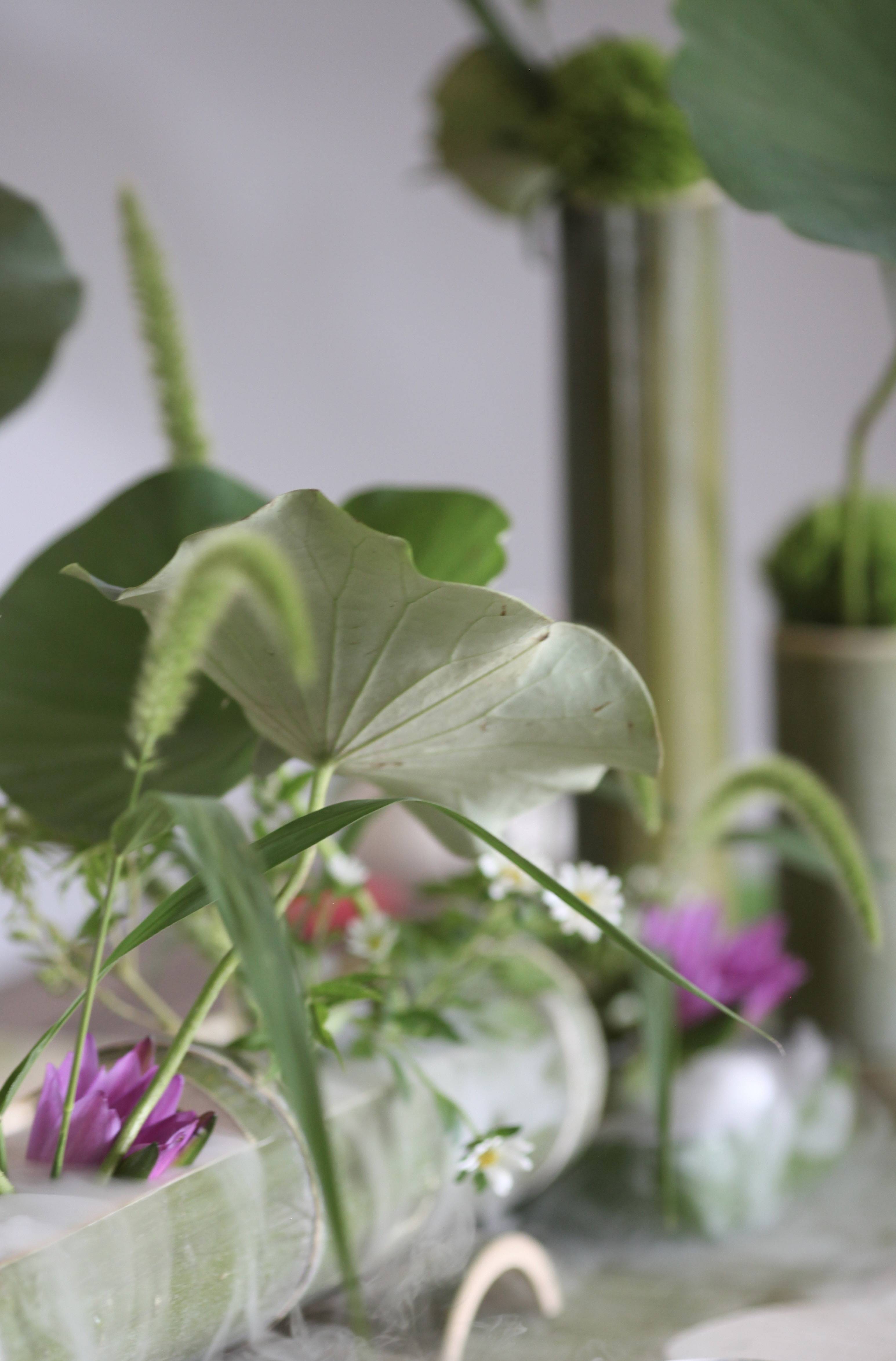 蘭印象支部夏日雅集·风动荷香|东方美学#茶会雅集花道布置