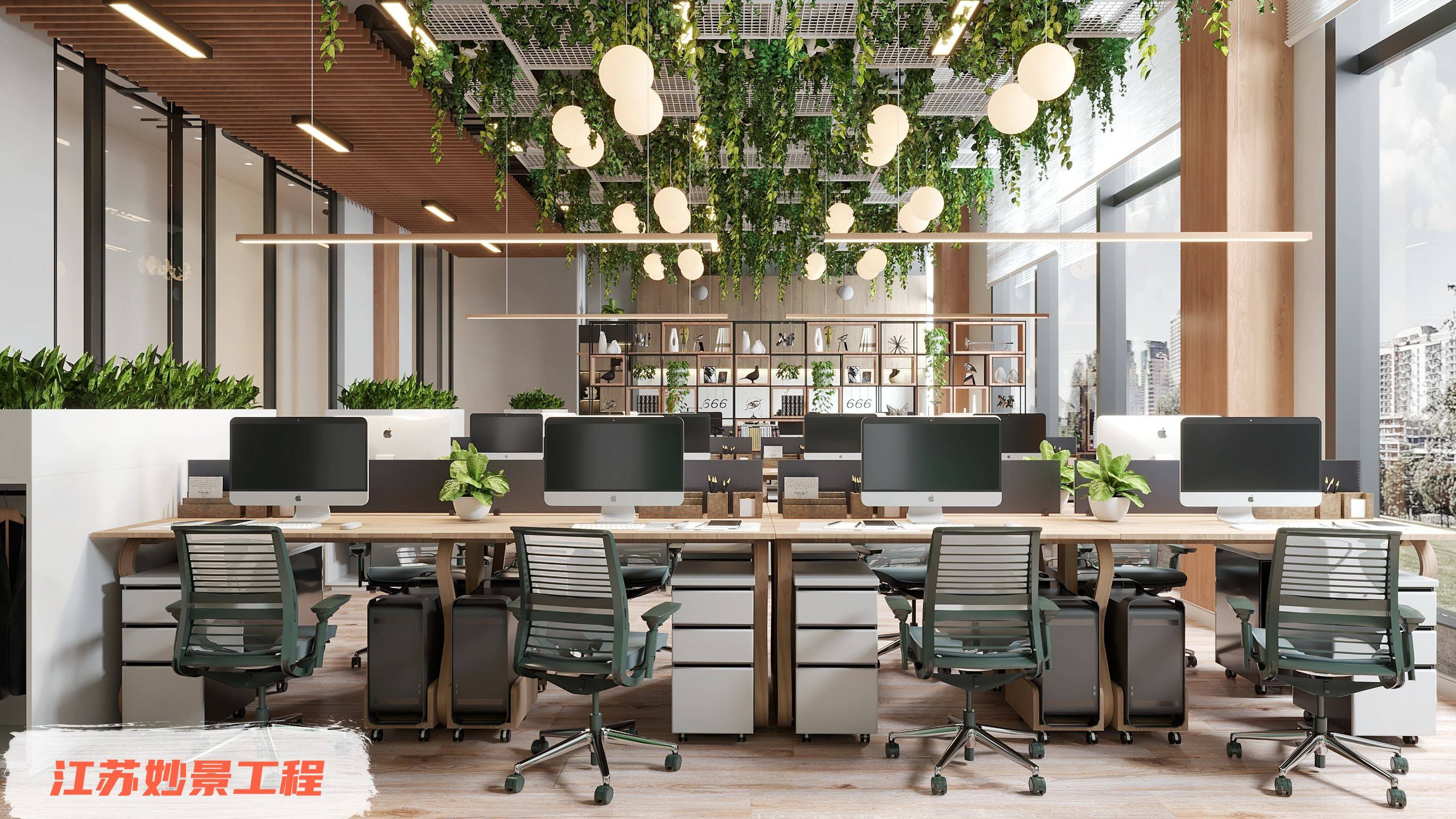 高档办公室绿植花卉租赁摆放