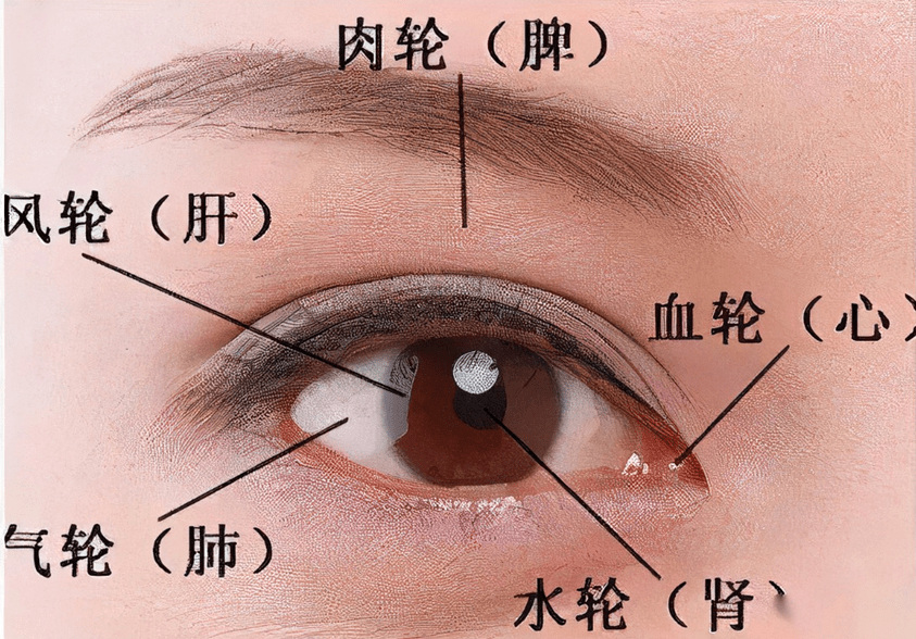 眼睛_眼镜_五脏