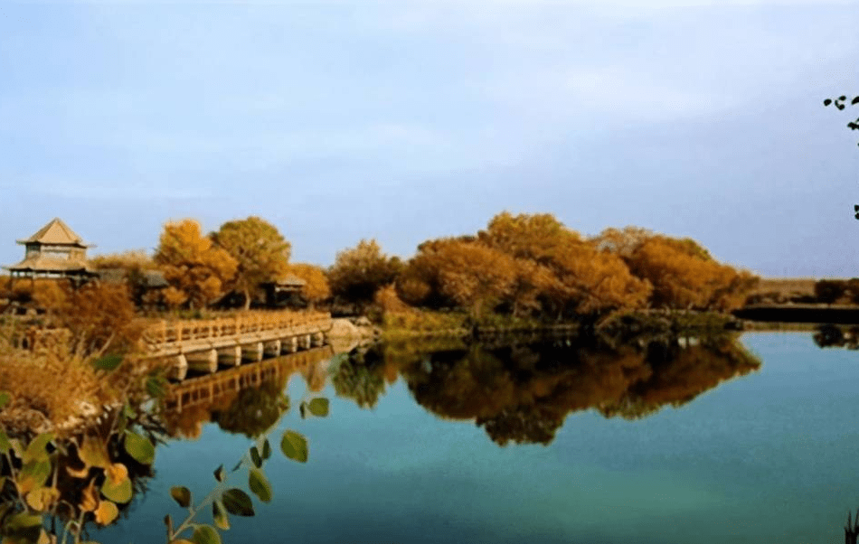 新疆这个公园以树闻名，有千年胡杨王，更有保护当地居民的圣树