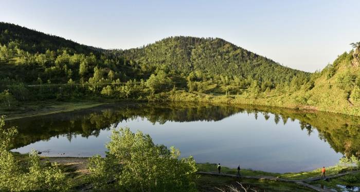 烤雪糕菜刀拍石子？家电企业模仿抄袭只能昙花一现-家电圈官网