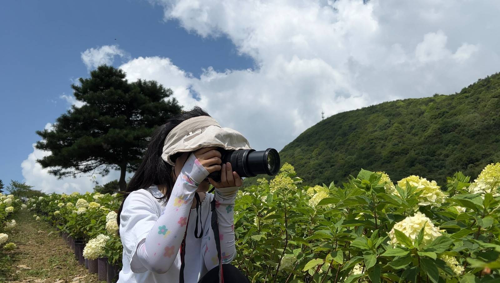 重庆涪陵又添避暑胜地，赏花露营尽享清凉