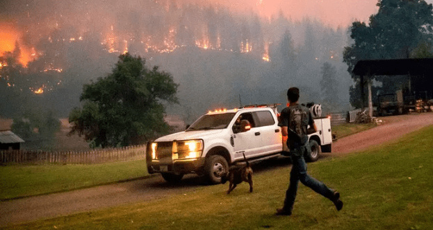 美国加州山火肆虐 超过5.1万英亩土地被烧毁