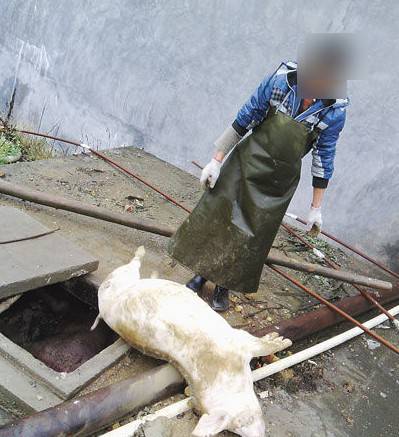 化尸池周边将本品1公斤兑水30倍喷雾或喷洒,能够快速降低和消除恶臭味