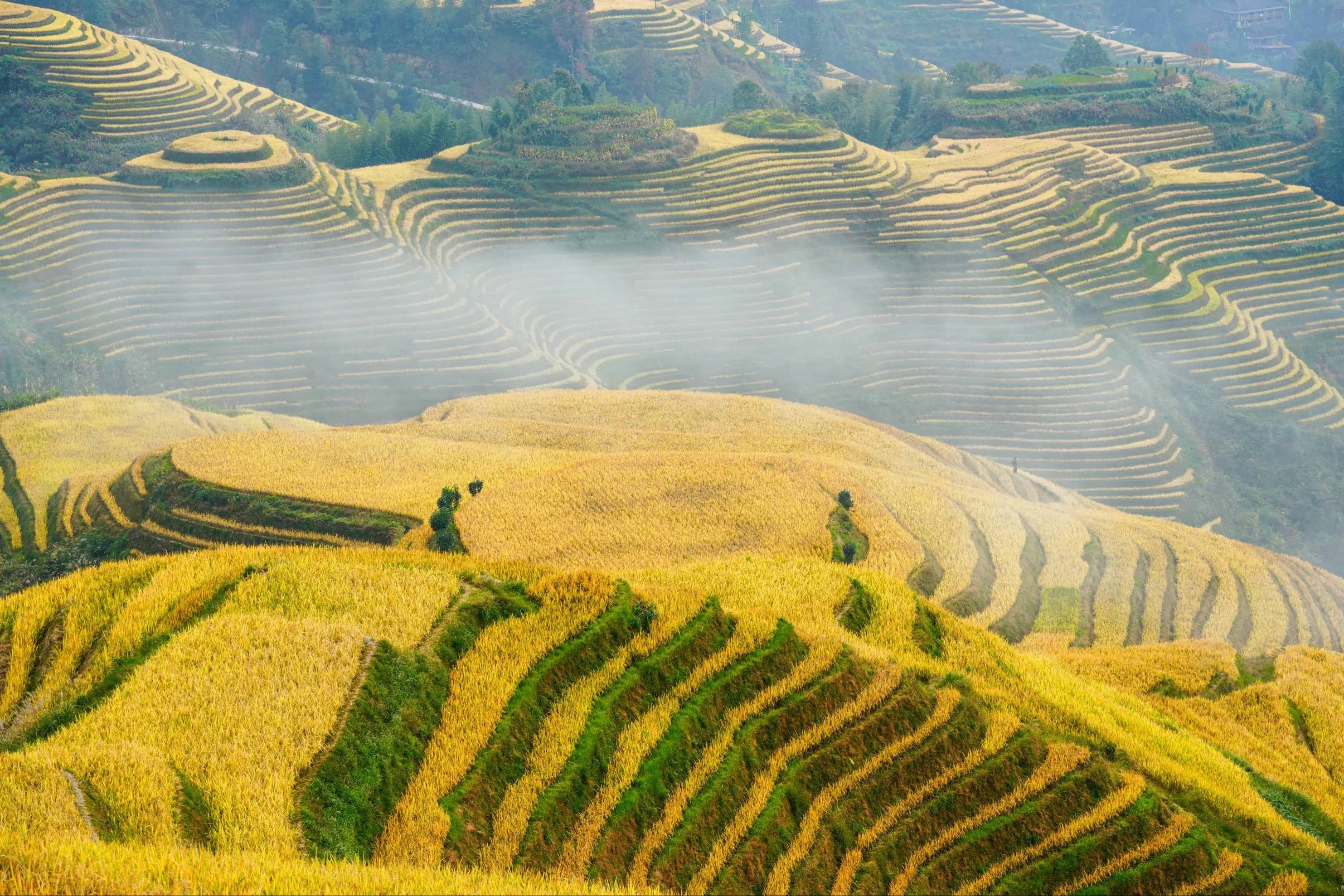 原创丽水14篇美景诗联作品