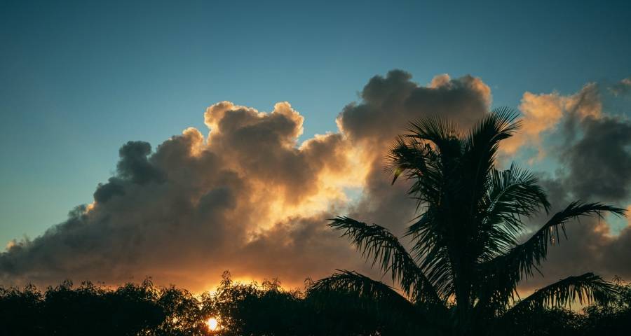 家电经销商还能继续吃政策囤货吗？-家电圈官网