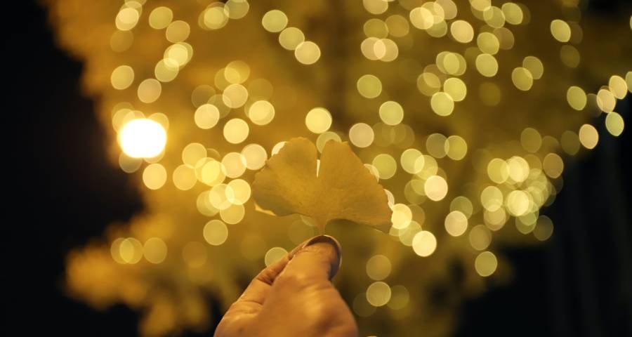 海尔飞利浦奥克斯方太长虹布新局,小米亚马逊惠而浦又转型!-家电圈官网