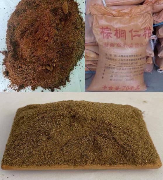发酵棕榈粕渣成为牛羊饲料,可代替等量玉米,降低养殖成本立竿见影
