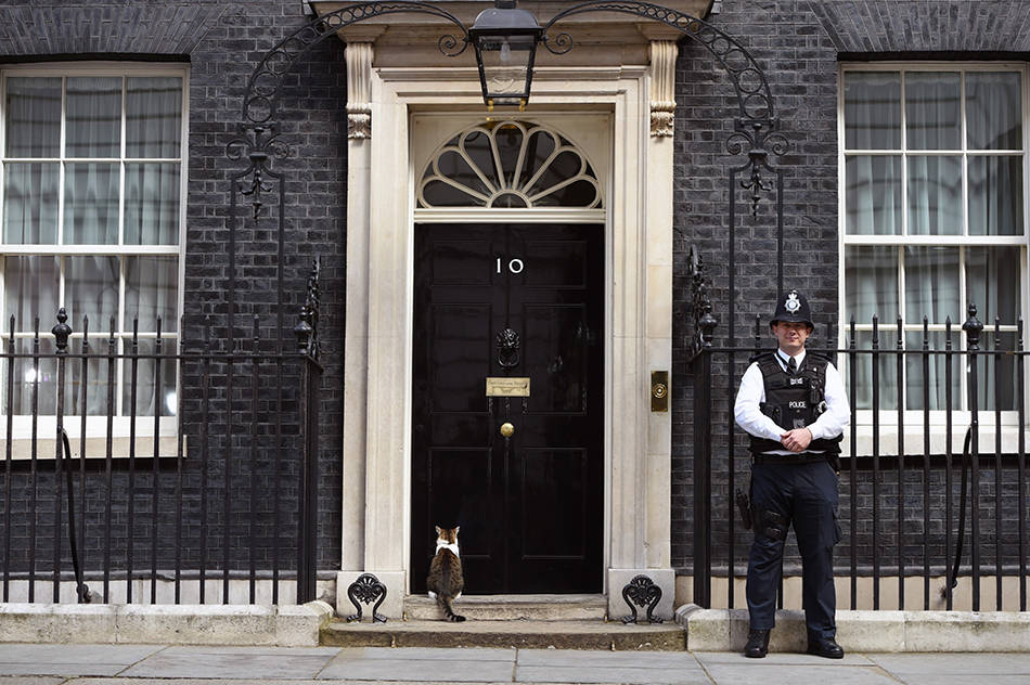 流水的首相铁打的拉里唐宁街御猫将迎接新主人
