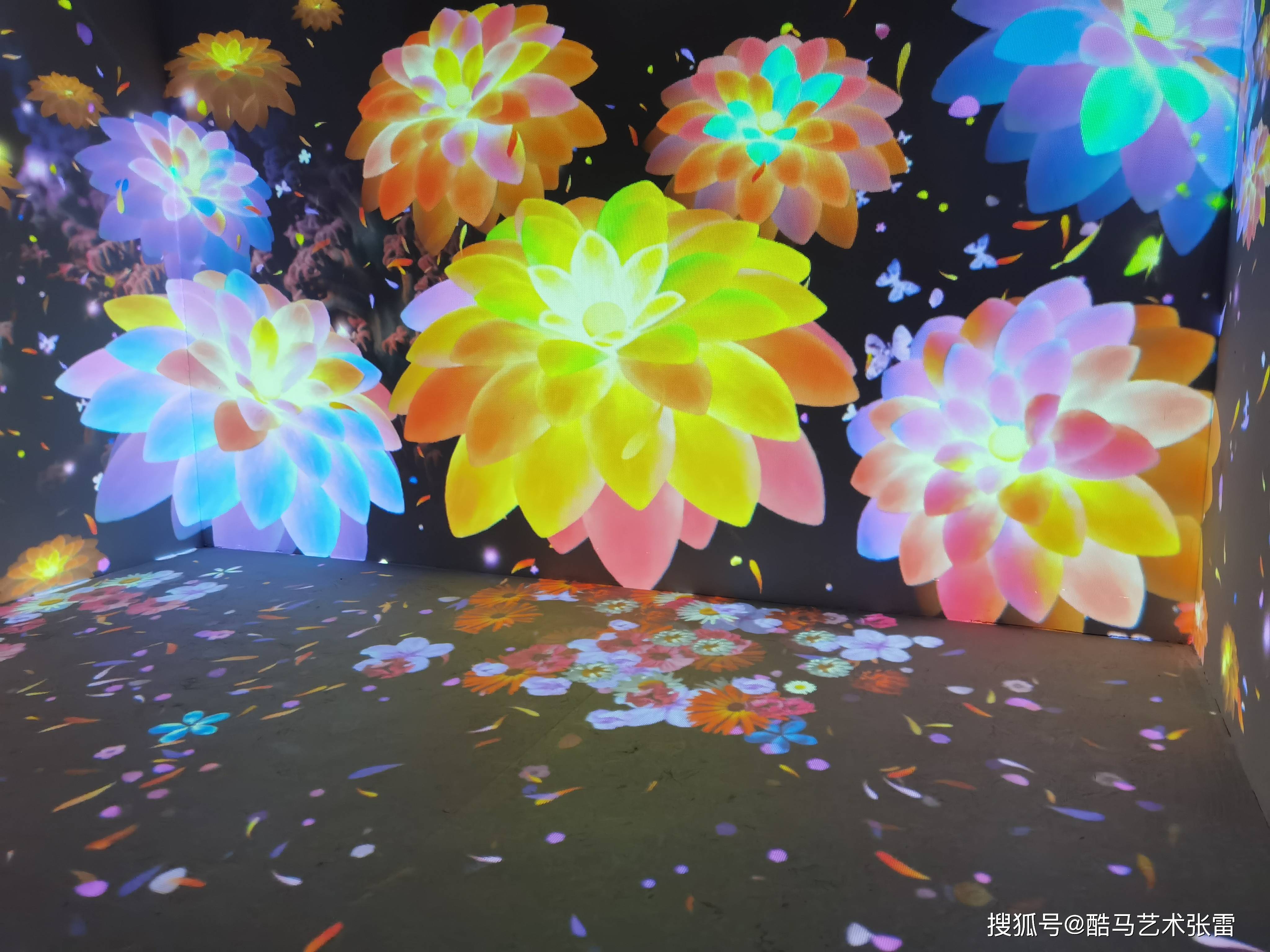 星空光影艺术馆美图鉴赏-搜狐大视野-搜狐新闻