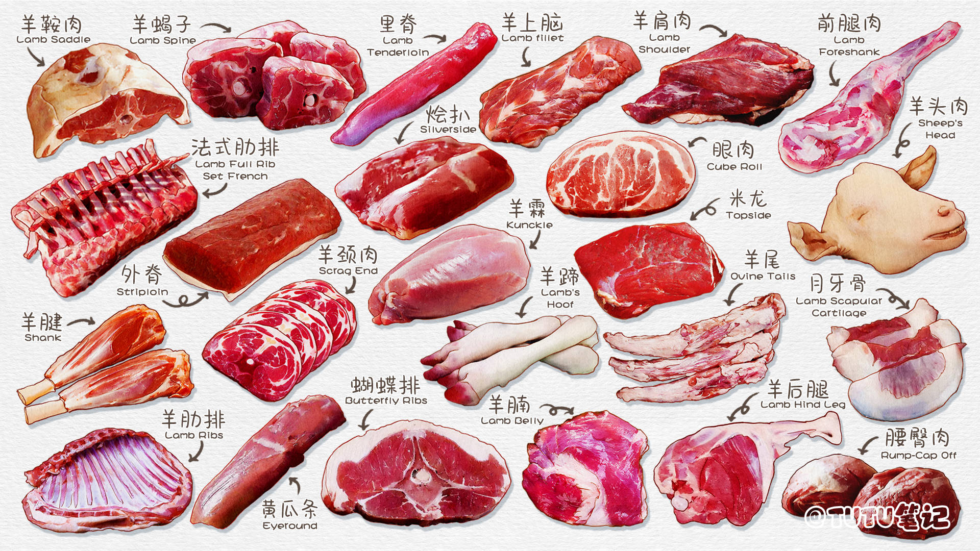 超全的羊肉分类图文笔记不同部位羊肉名称和吃法