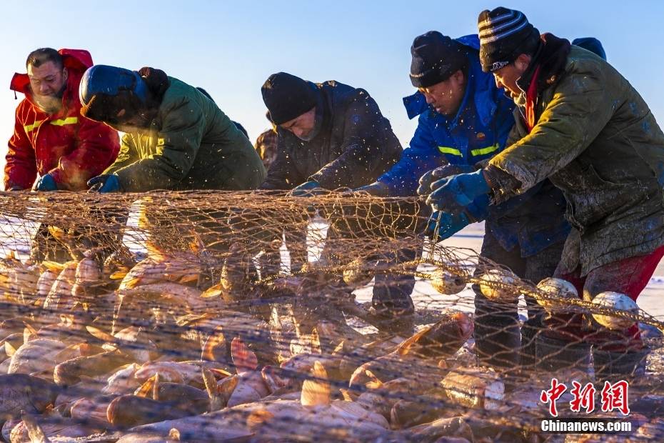 一份来自冬季的丰收喜悦 查干湖开展大规模冬捕-搜狐大视野-搜狐新闻