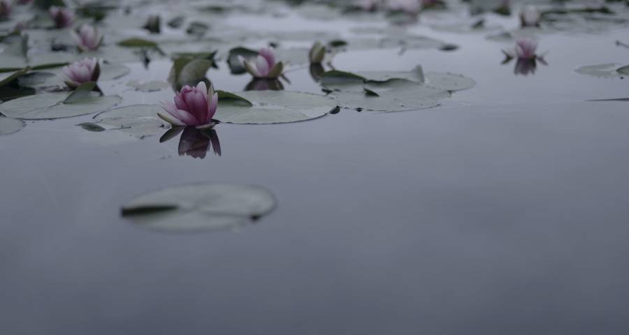 展望2023年家电产业时为何仍充满希望?-家电圈官网