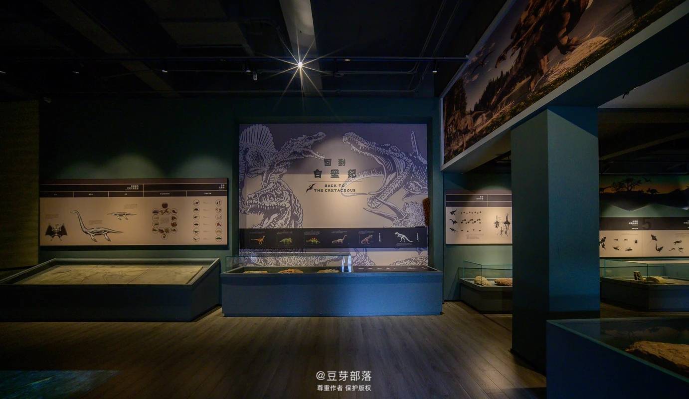 导天台 游百景|天台博物馆_陈列厅_标本_文物