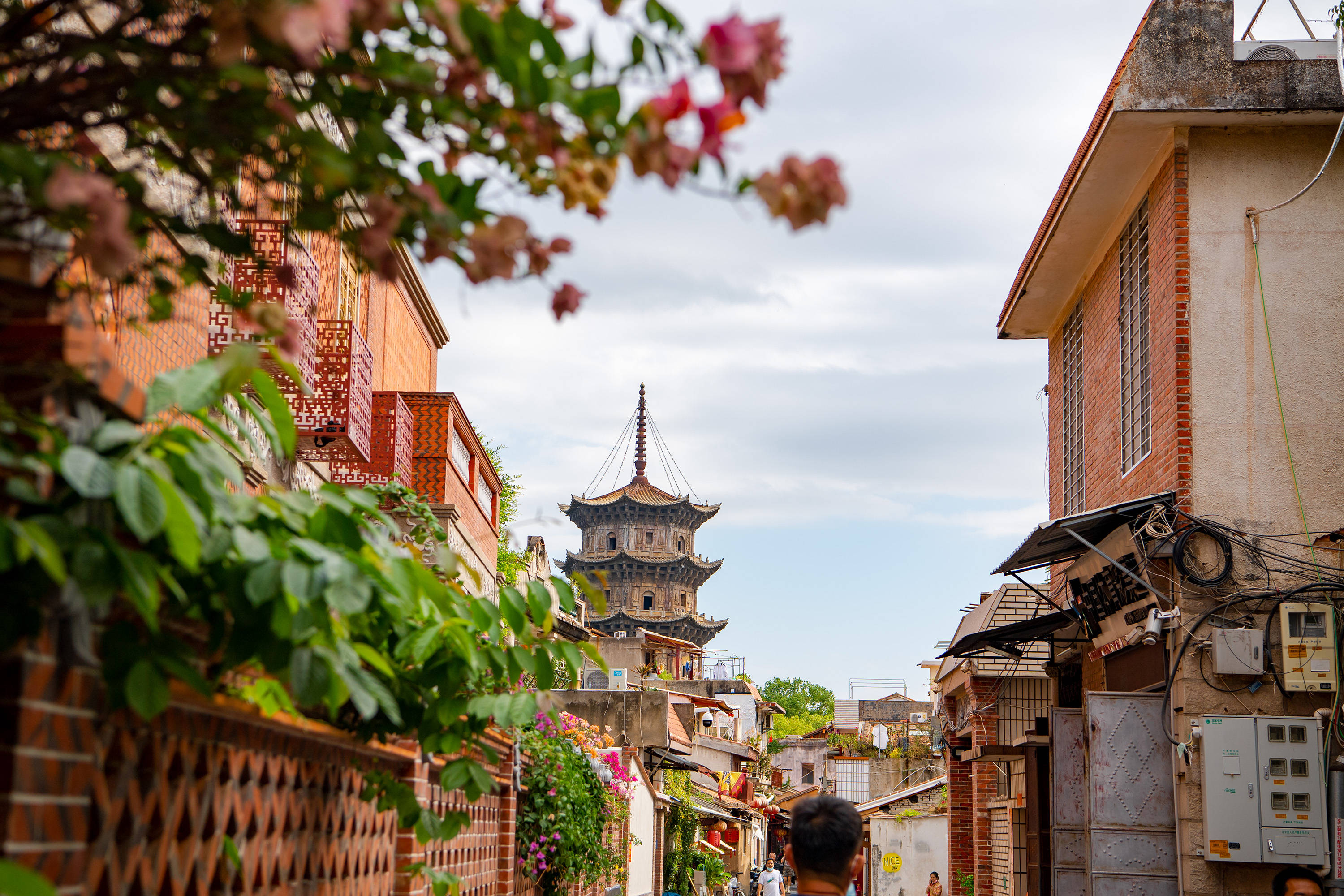"刺桐花谢刺桐城",遍寻泉州开元寺没有刺桐树,郭沫若写错了吗_郭老_立