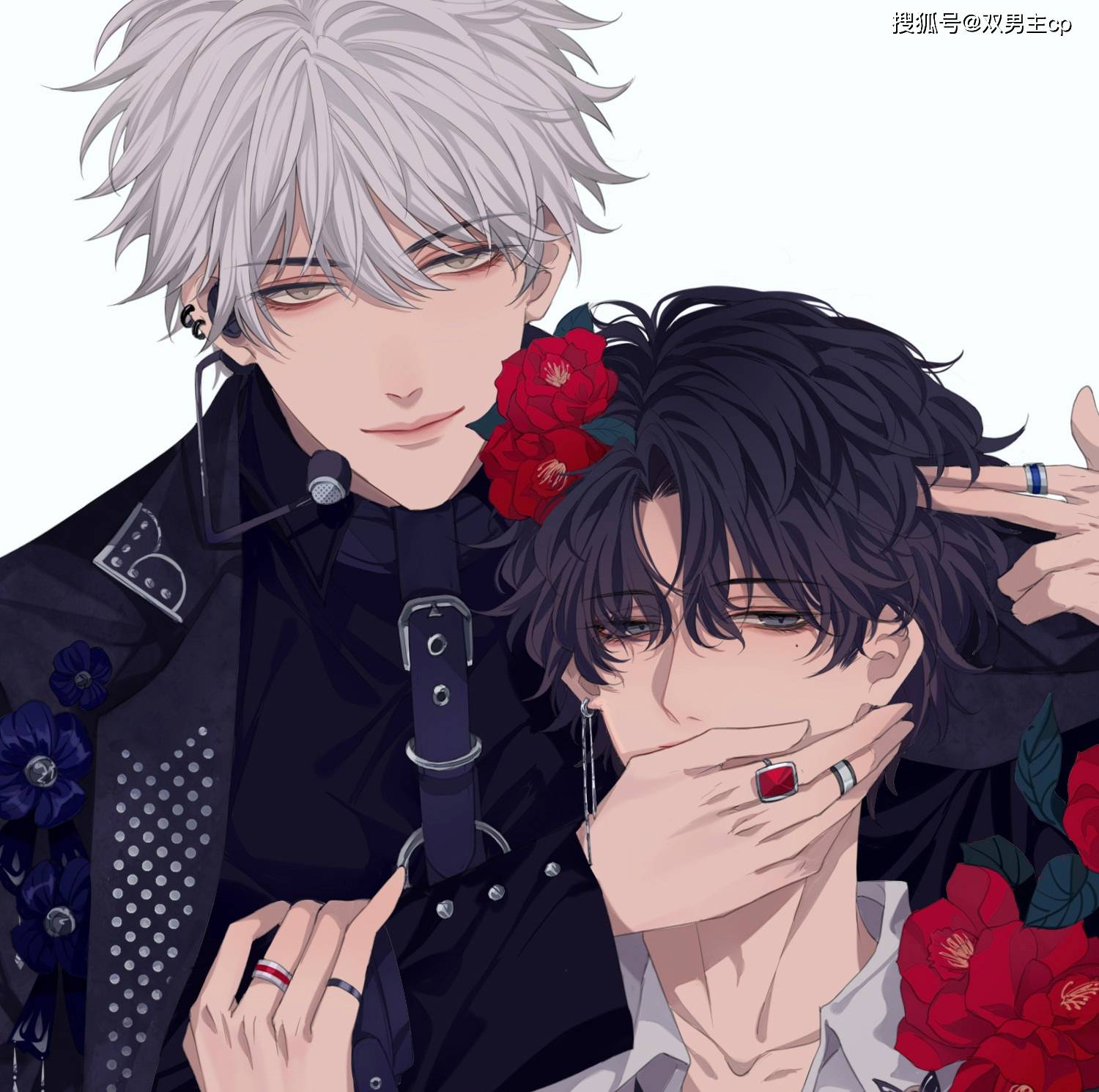 二次元丨漫画丨动漫丨双男主-搜狐大视野-搜狐新闻