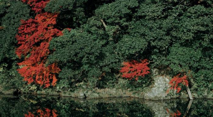 晚婚晚育还少生，家电企业能搞定这届年轻人胃口吗？-家电圈官网