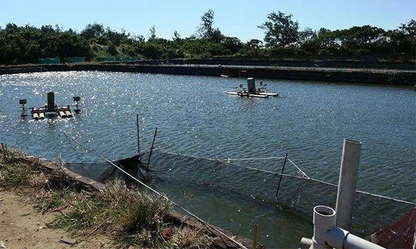 开春以后鱼塘管理怎么做你知道吗?_进行_水质_养殖户