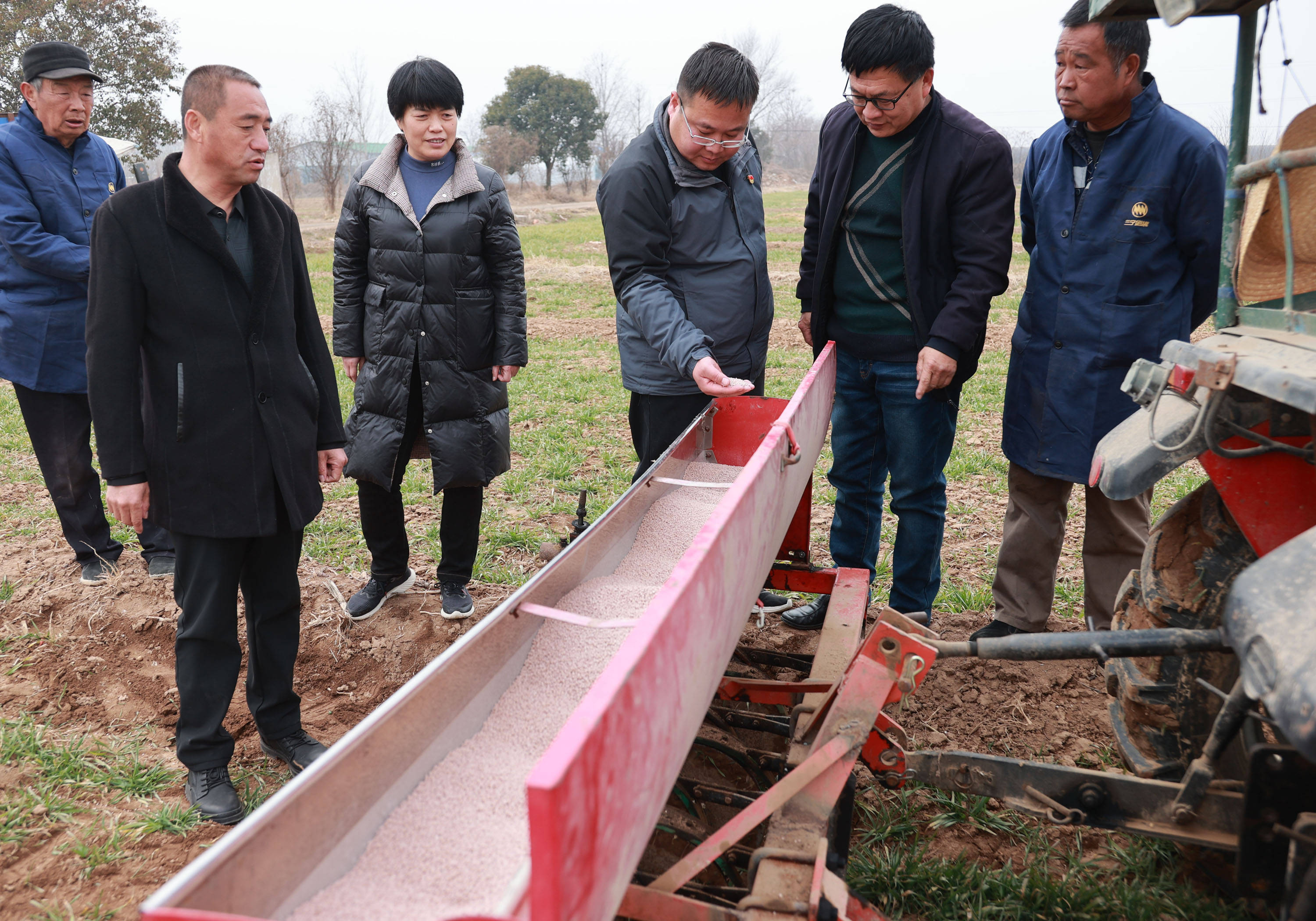 大荔县许庄镇党员干部深入高标准农田助春耕抓紧抓好粮食生产_小麦