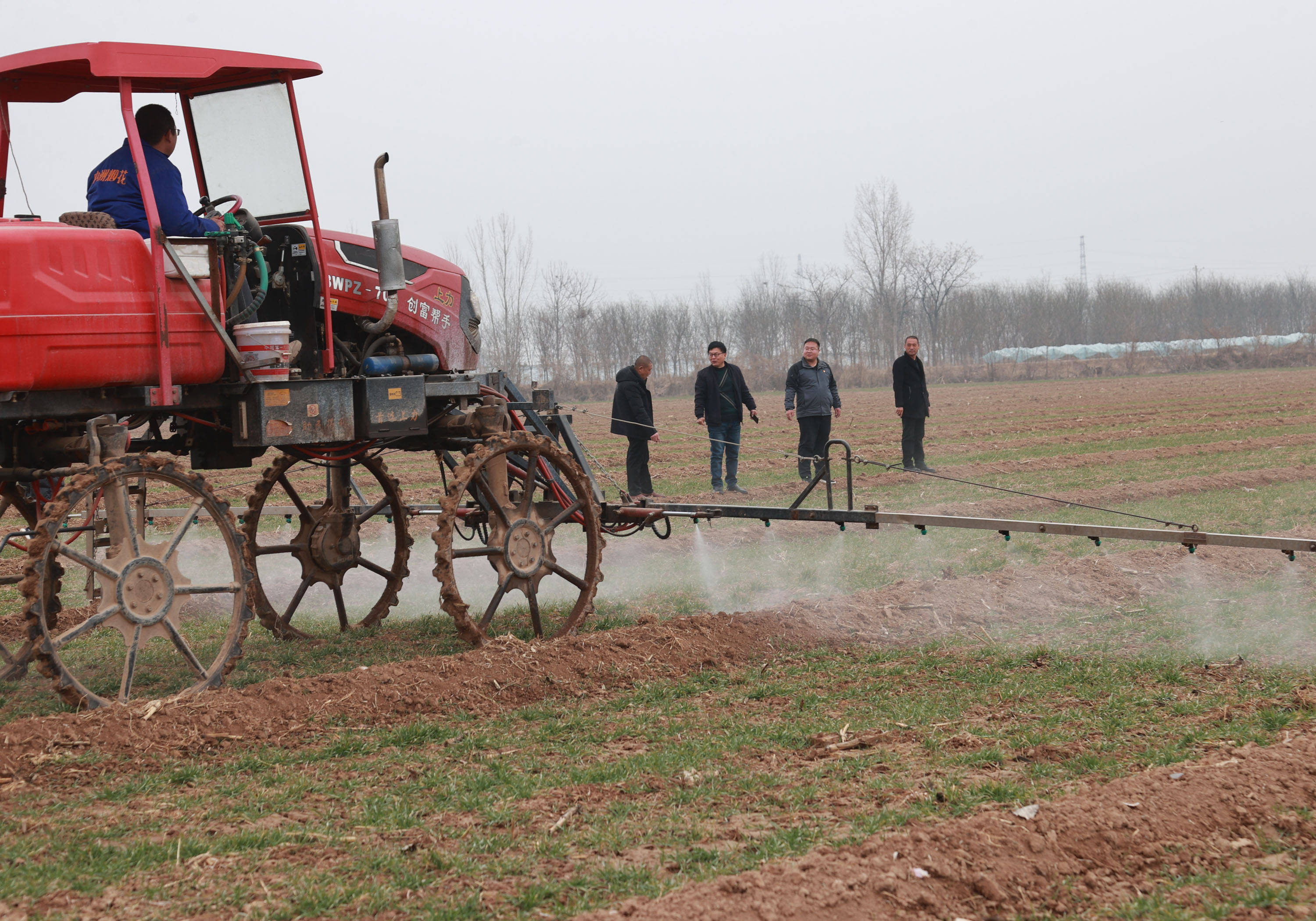 大荔县许庄镇党员干部深入高标准农田助春耕抓紧抓好粮食生产_小麦