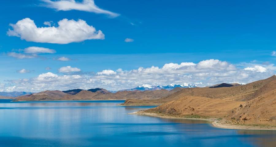 家电企业今年要特别关注这个指标-家电圈官网