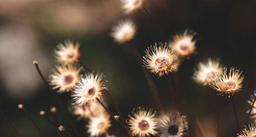 最近阳光洒在家电厂商那张幸福的脸上-家电圈官网