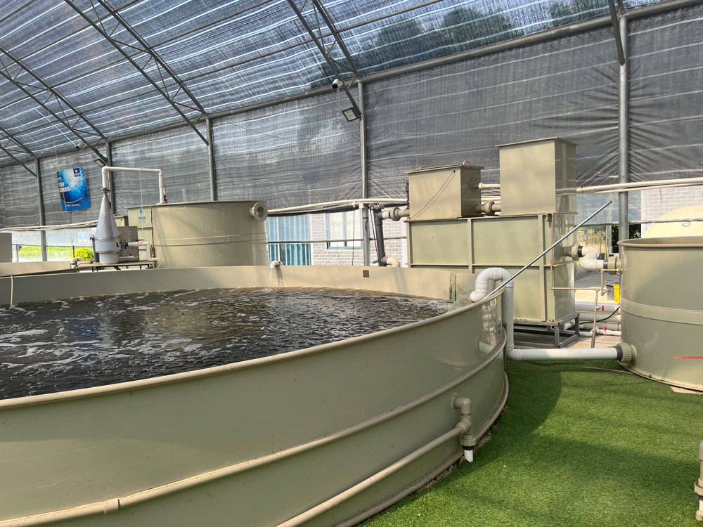 通过"全过程,全要素"的"生产工艺技术标准", 完美实现了放之四海而