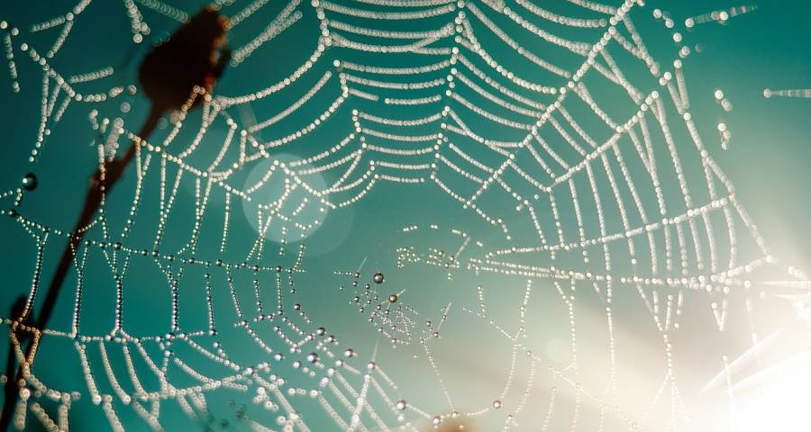 今年起没有用户的家电厂商变危险-家电圈官网