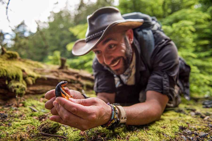狼叔荒野探险纪录片《野地大胆王完整版》第1季中字 1080p高清自媒体