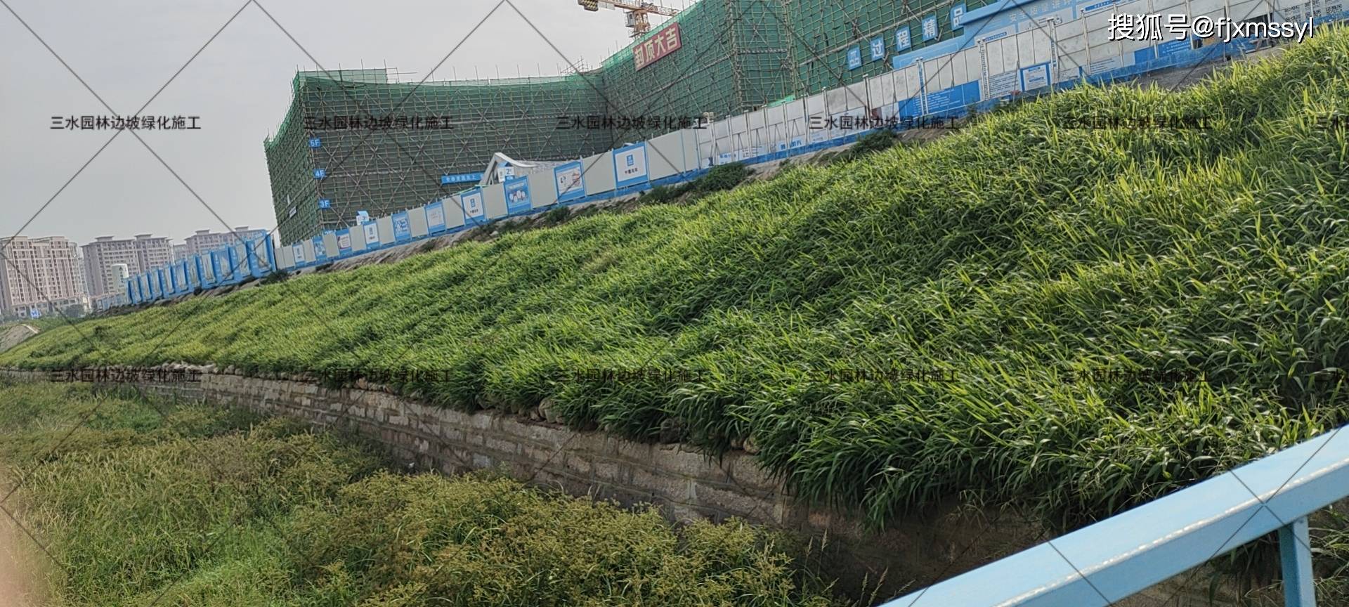 河道绿化施工方案说明草籽选择方法_坡面_种子_护坡