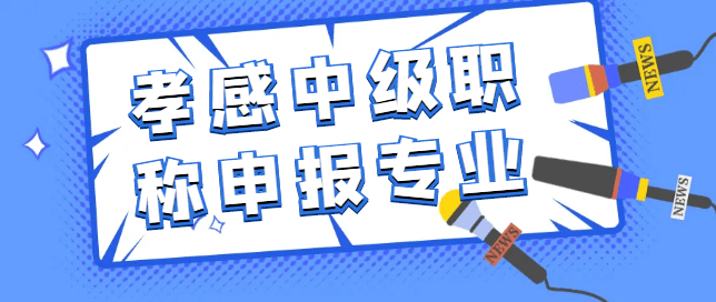 2023孝感中级职称申报专业有哪些?_工程_自动化_质量