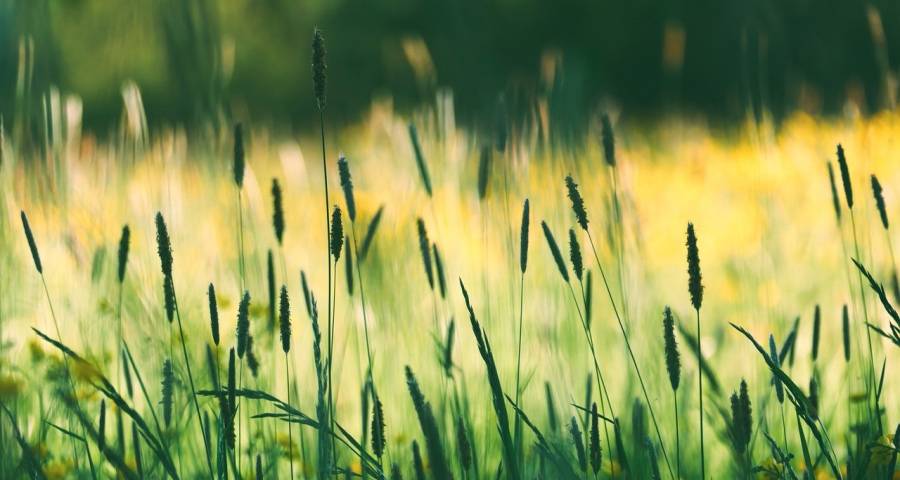 二季度家电市场操作的两个注意点-家电圈官网