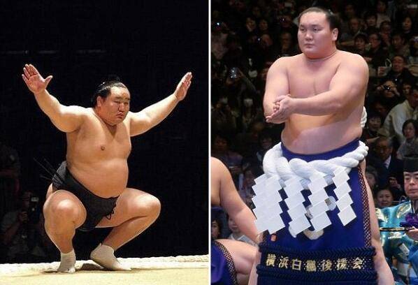 朝青龙和白鹏性格迥异,结局不同,你赞同谁的选择_选手_日本_比赛